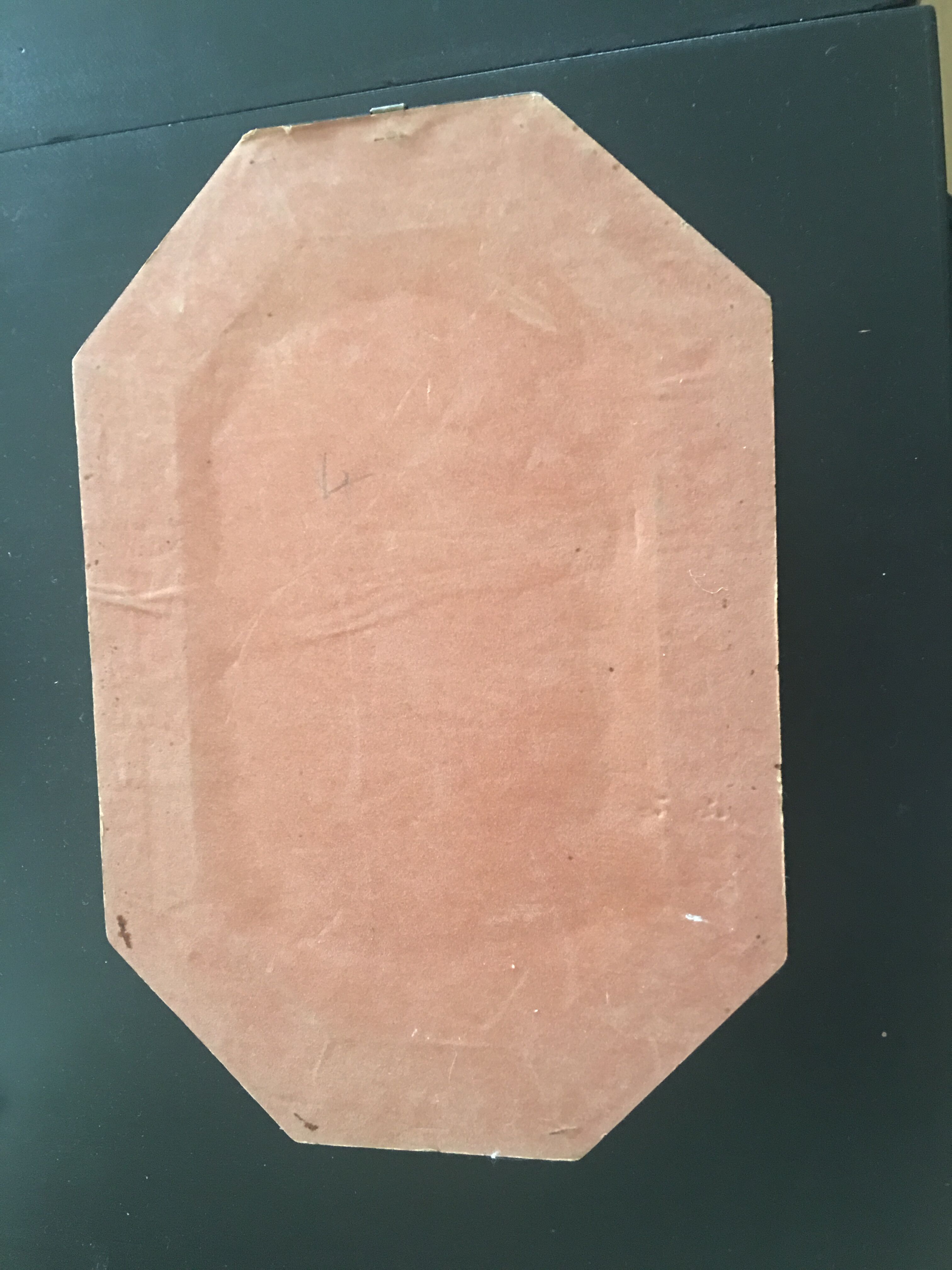 Curtis Walworth's 1813 botanical frame