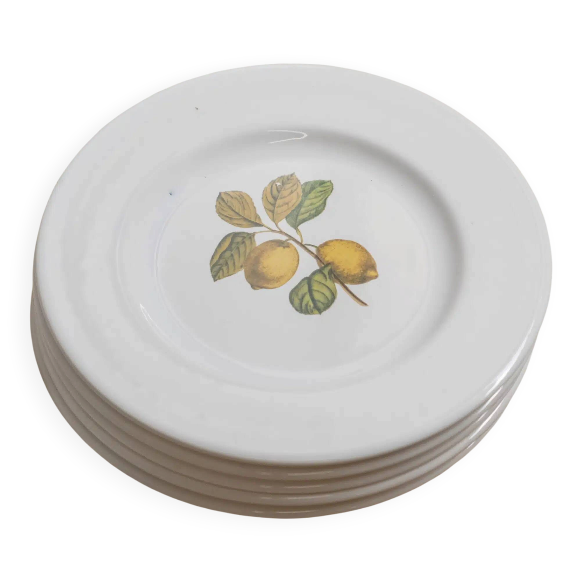 Set of 5 flat plates "Orchard"