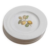 Set of 5 flat plates "Orchard"