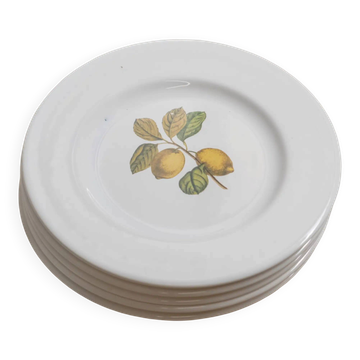 Lot de 5 assiettes plates « Verger »