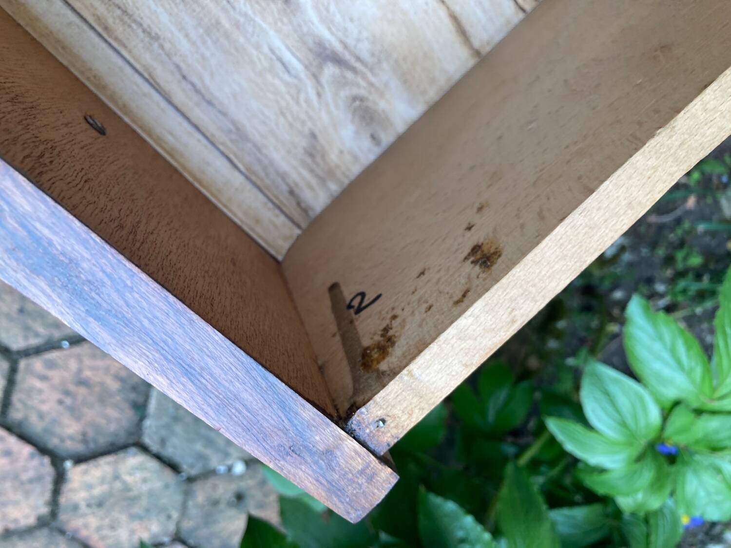 Compass leg chest of drawers