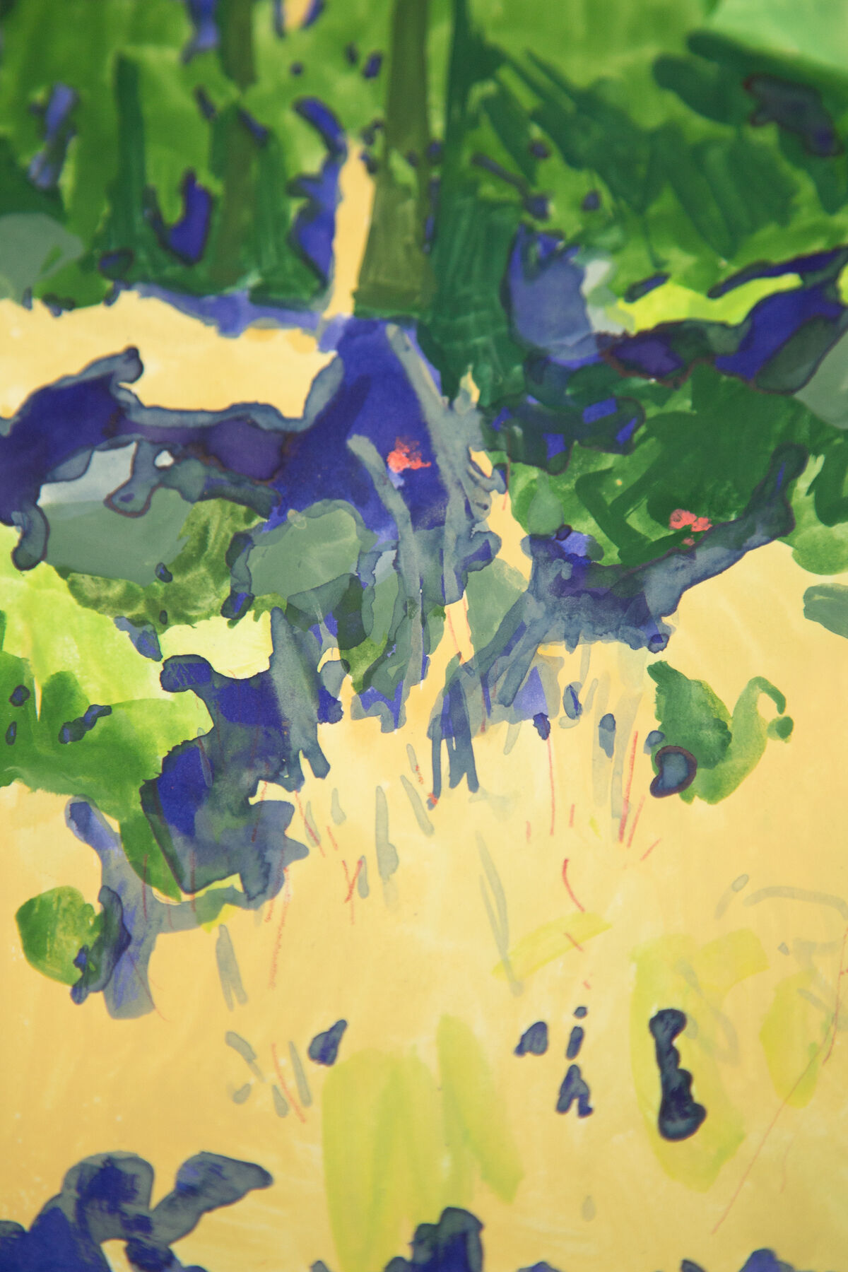 Undergrowth moss, illustration