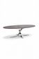 Vintage oval coffee table, 1970.