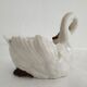 Mustard and salty swans, circa 1900