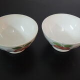 Bowl duo