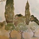 Signed watercolor painting “olive tree field in Provence”