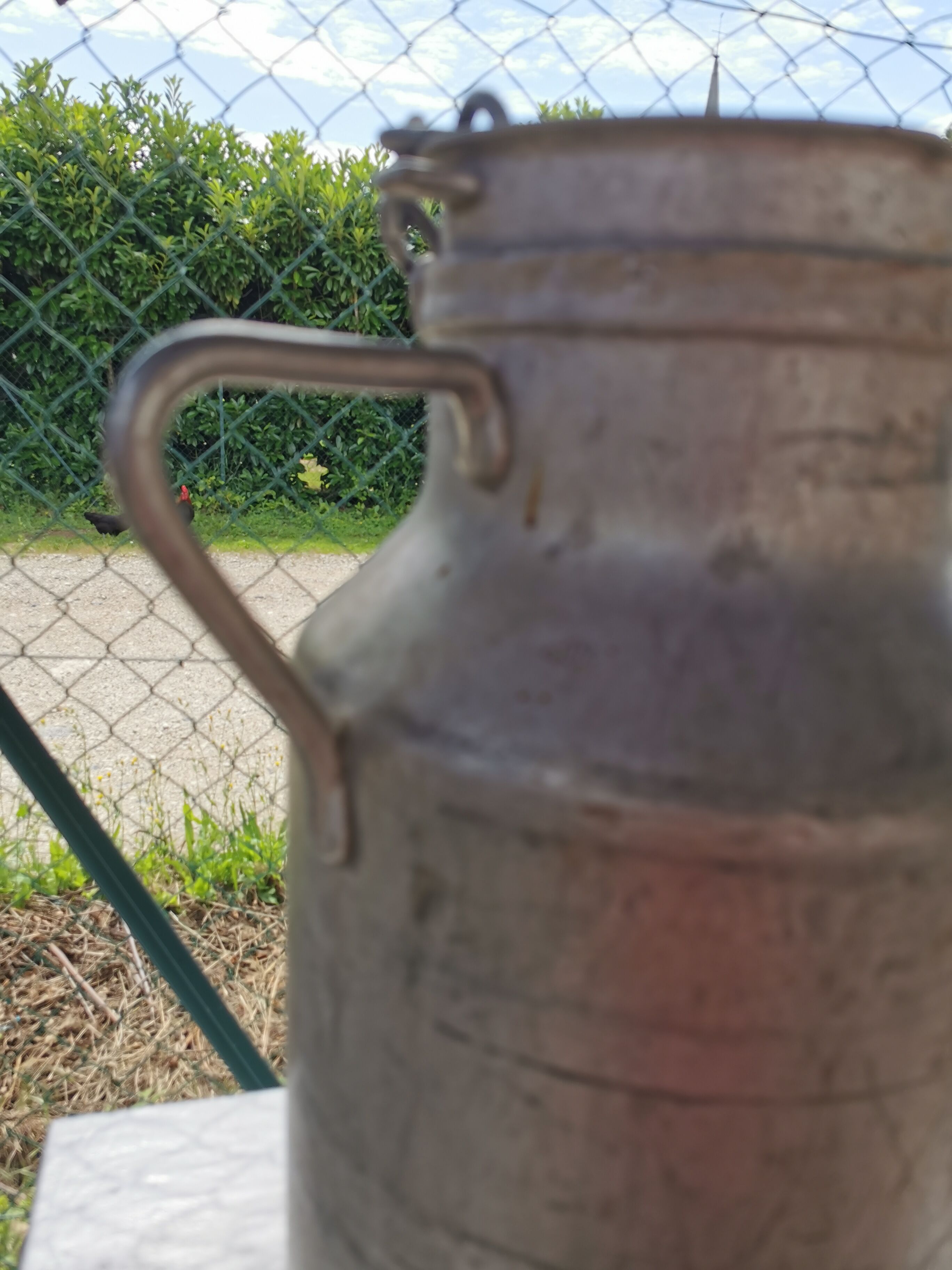 Milk pot 20L Japy RD