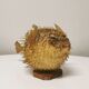 Naturalized Moonfish Lamp, 1950