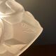 Vintage art deco tulip pendant light in frosted glass signed Degué