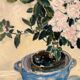 Original Swedish Oil on Canvas – “Stillben” by Ursula Cabelduc