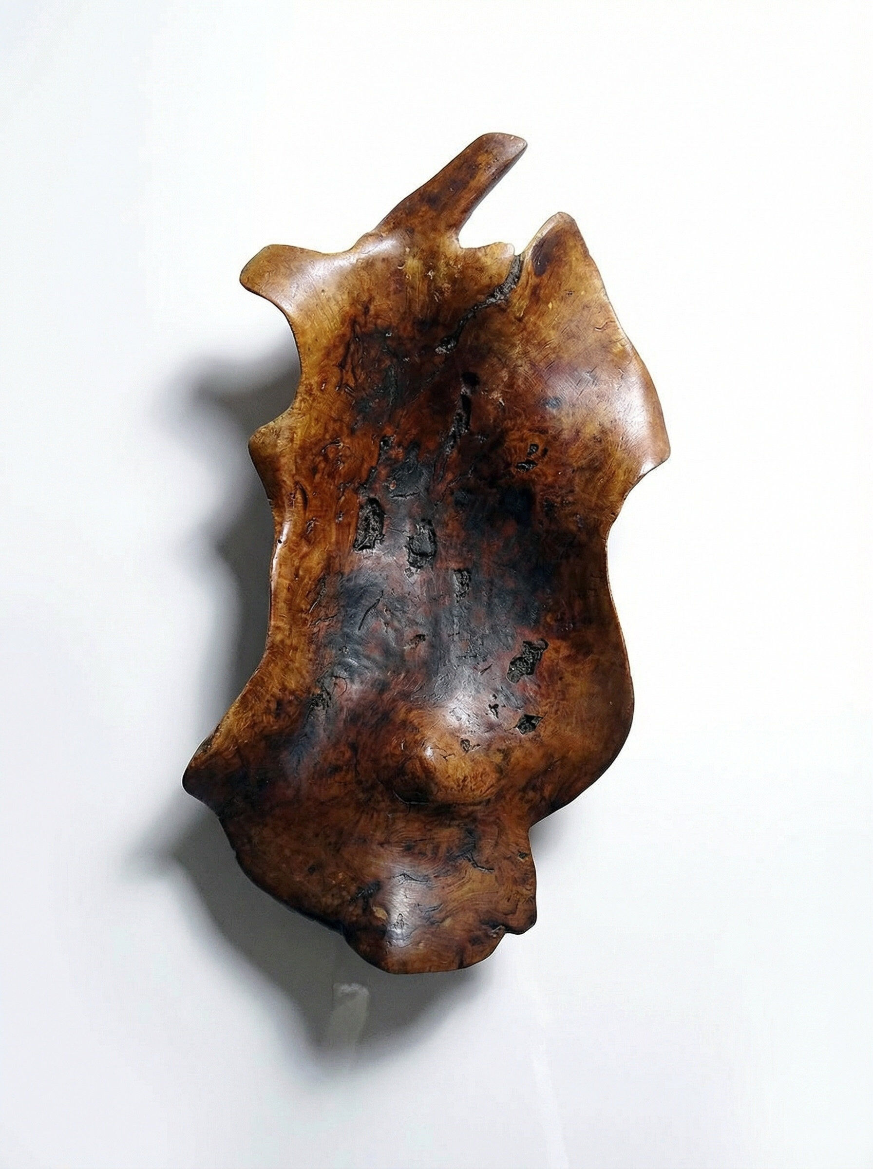 Large monoxyle bowl made of dark raw olive wood from the 1950s.