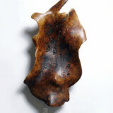 Large monoxyle bowl made of dark raw olive wood from the 1950s.