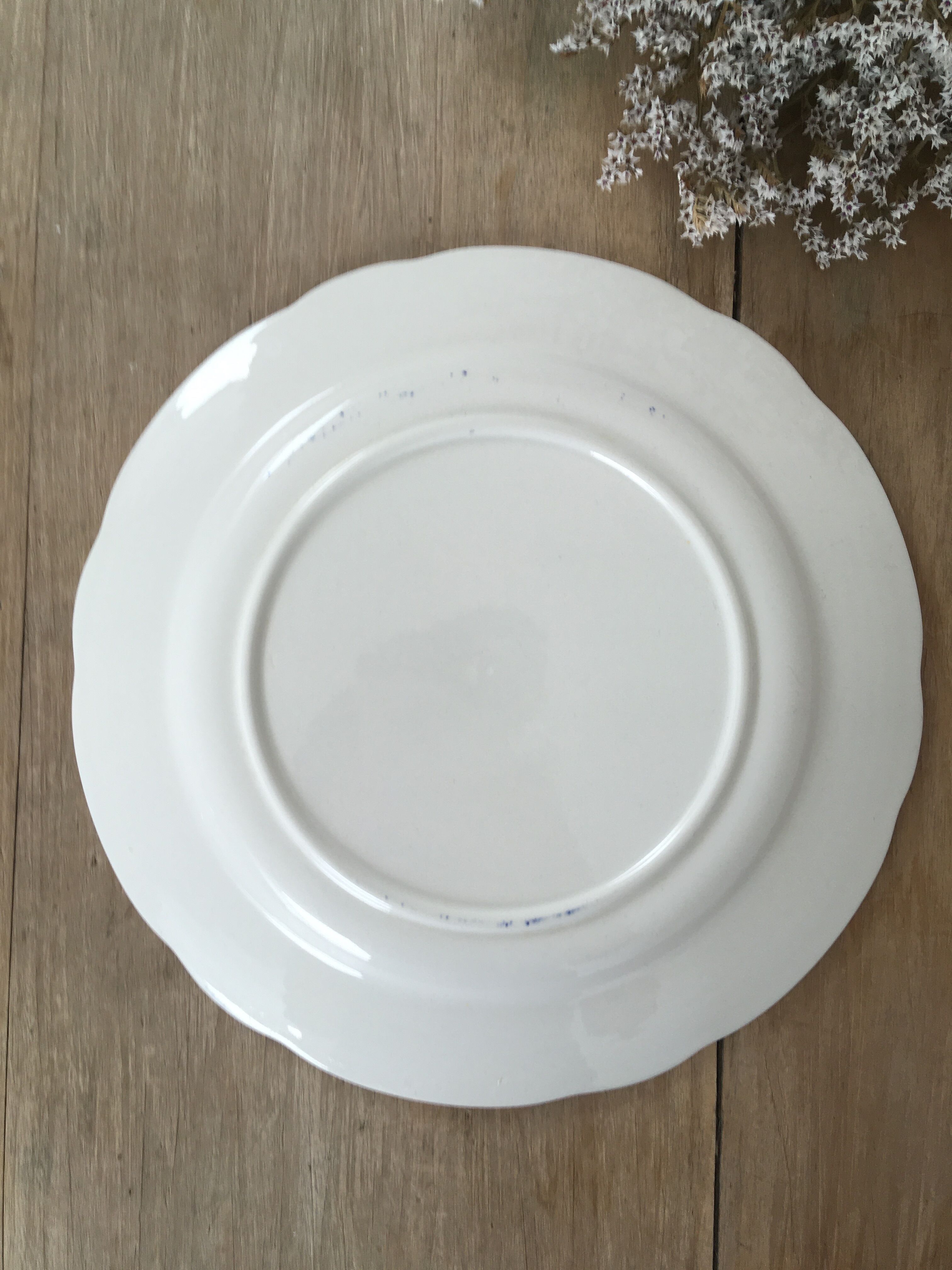 Pair of vintage plates "horses"