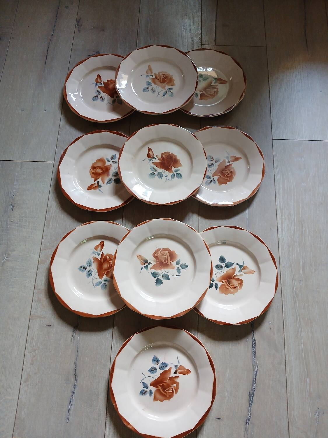 25 old Digoin and Sarreguemines plates
