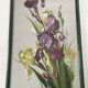 Old oil painting on paper – Bouquet of irises – Framed