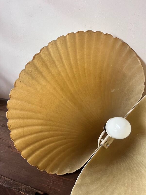 lampe coquillage par Michel Mahé + André Cazenave po