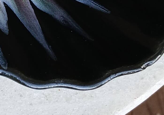 Set of 2 painted ceramic shell cups