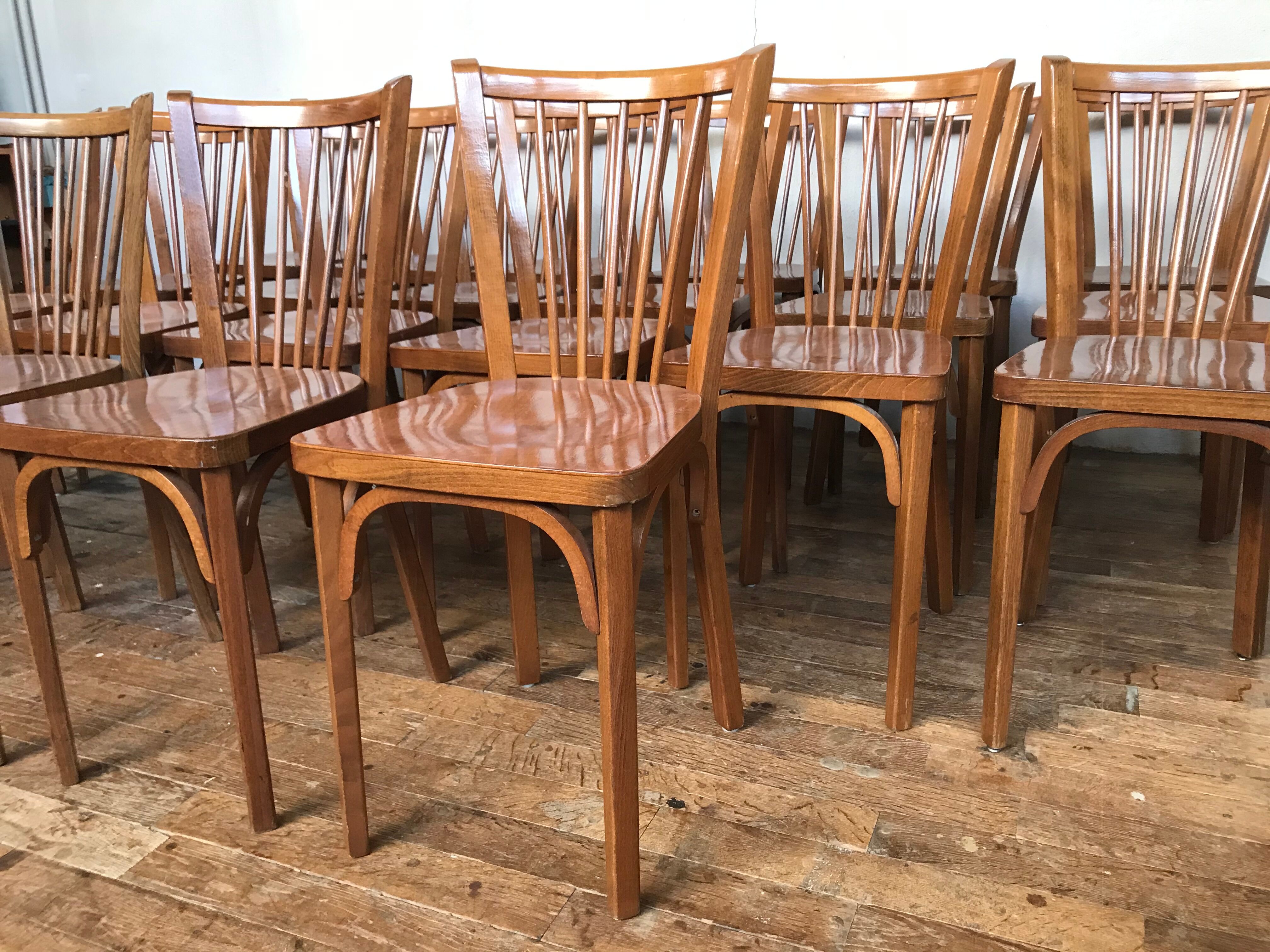 Rare series of 50 chairs Baumann fanett vintage design 1950 1960