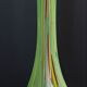 Vase vintage en verre arlecchino Murano