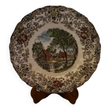 Johnson Bros decorative dinner plate