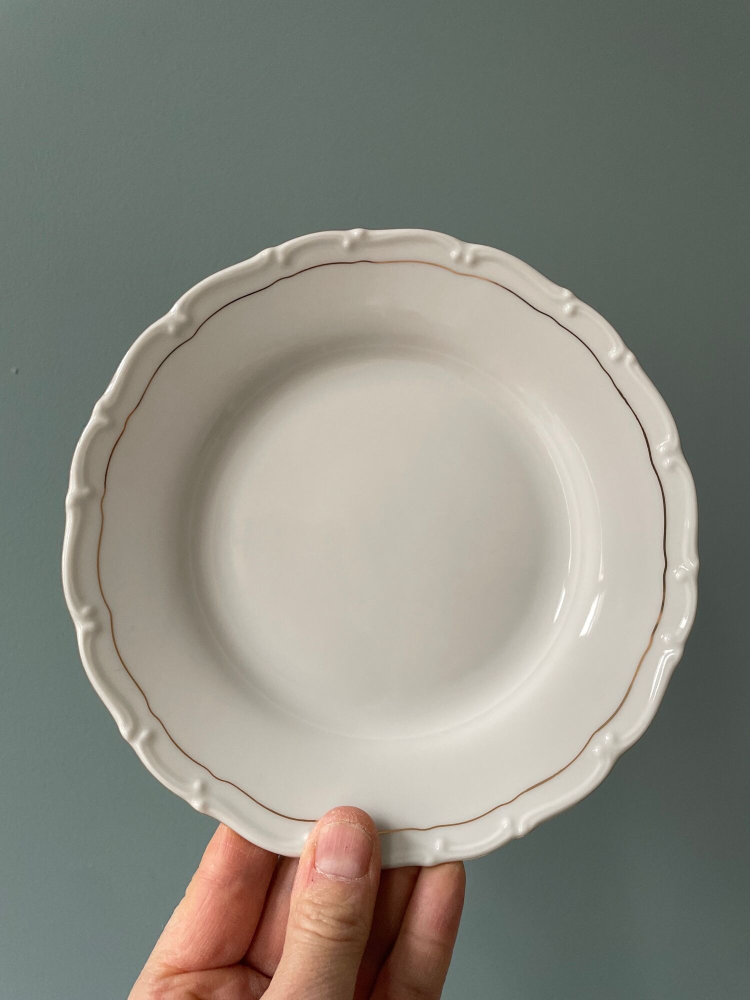 Series of 12 dessert plates in fine bohemian porcelain