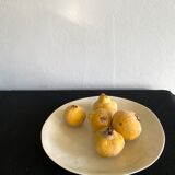 Pearly enamel dish