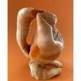 Shell lamp