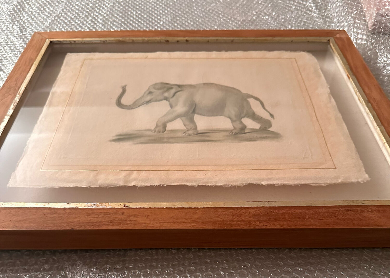 Drawing elephant framed in wooden frame