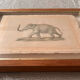 Drawing elephant framed in wooden frame
