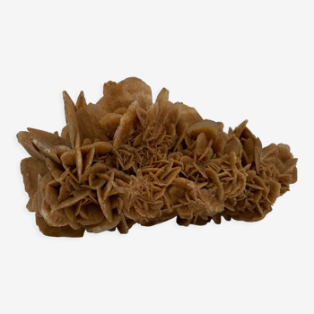 Sand rose, 555 grams, 16 cm x 9 cm