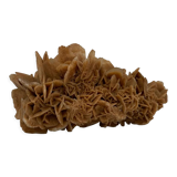 Sand rose, 555 grams, 16 cm x 9 cm