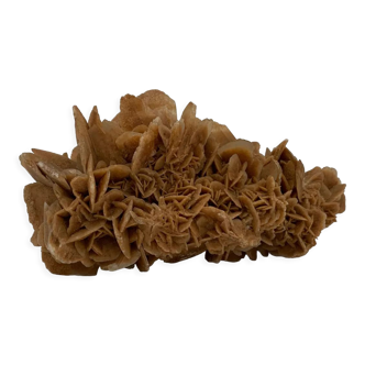 Rose des sables, 555 grammes, 16 cm x 9 cm