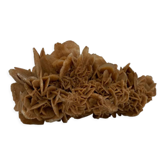 Sand rose, 555 grams, 16 cm x 9 cm