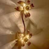 Brass organically shaped double wall or ceiling lights, 1970s