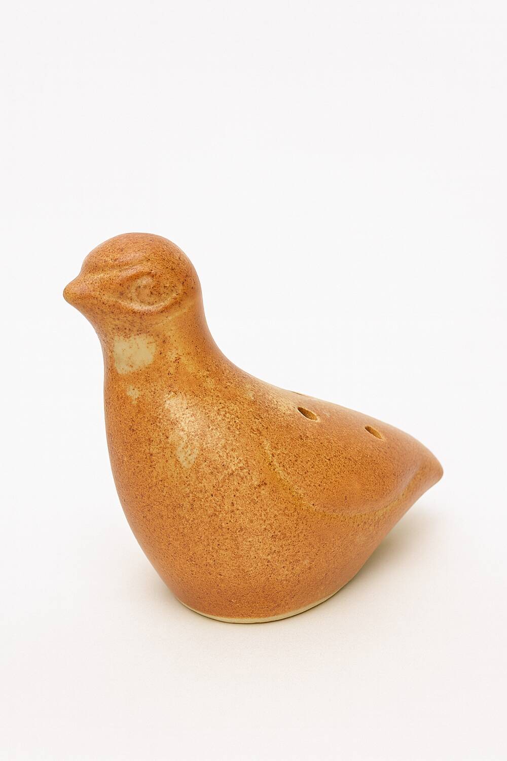 Flower picker bird the Dieulefit caves