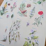 Printed in 1967, calming plants.