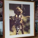 Tableau photo vintage Libellule