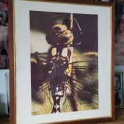 Dragonfly vintage photo painting
