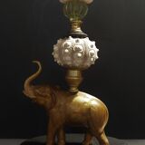 Cabinet of Curiosities composition with sea urchins and gorgon paramuricea clavata