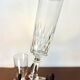 2 verres à champagne Baccarat m. Richelieu