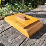 Box in olive tree