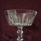 Saint Louis Jersey Cup