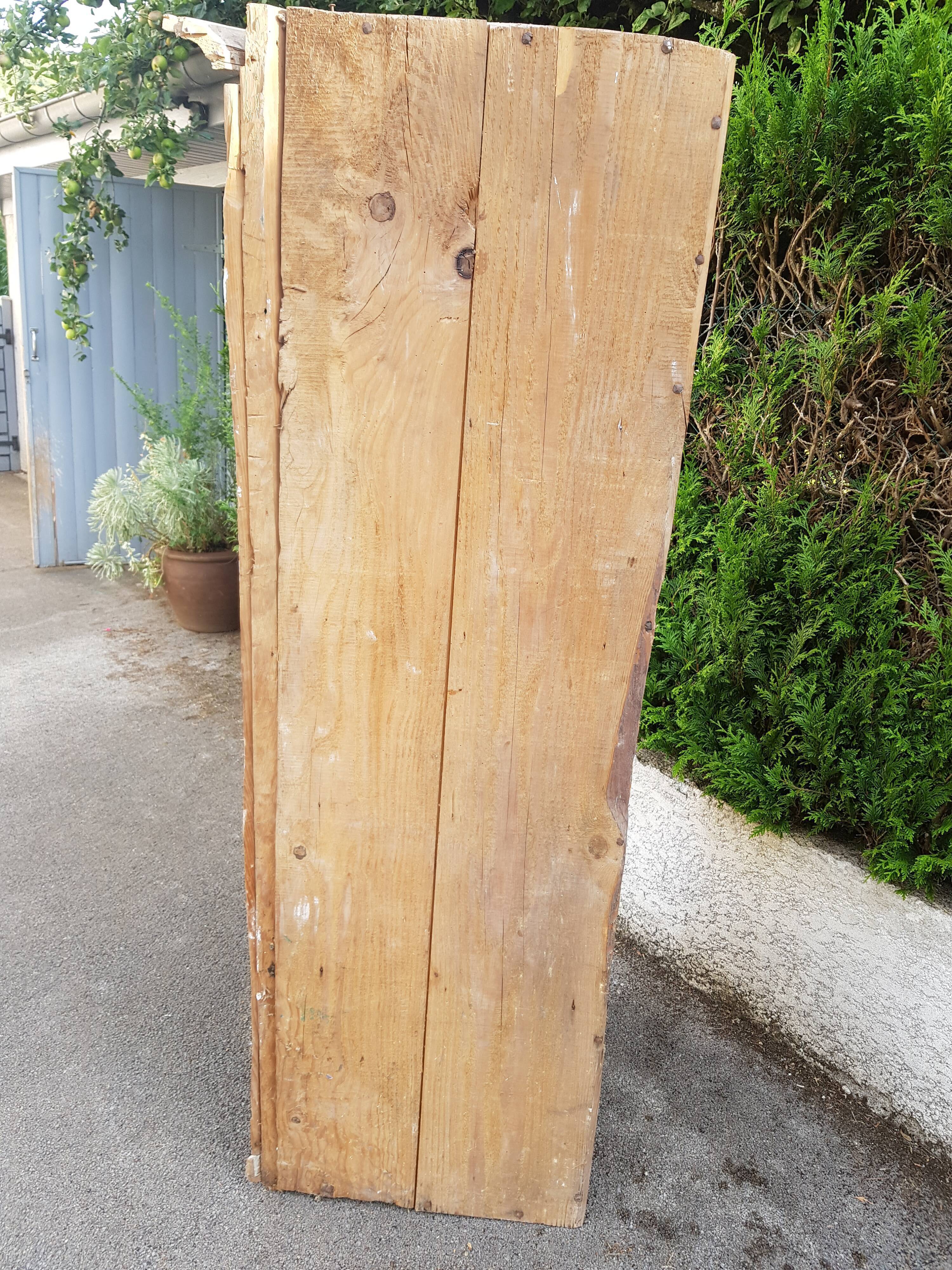 Ancient fir notch