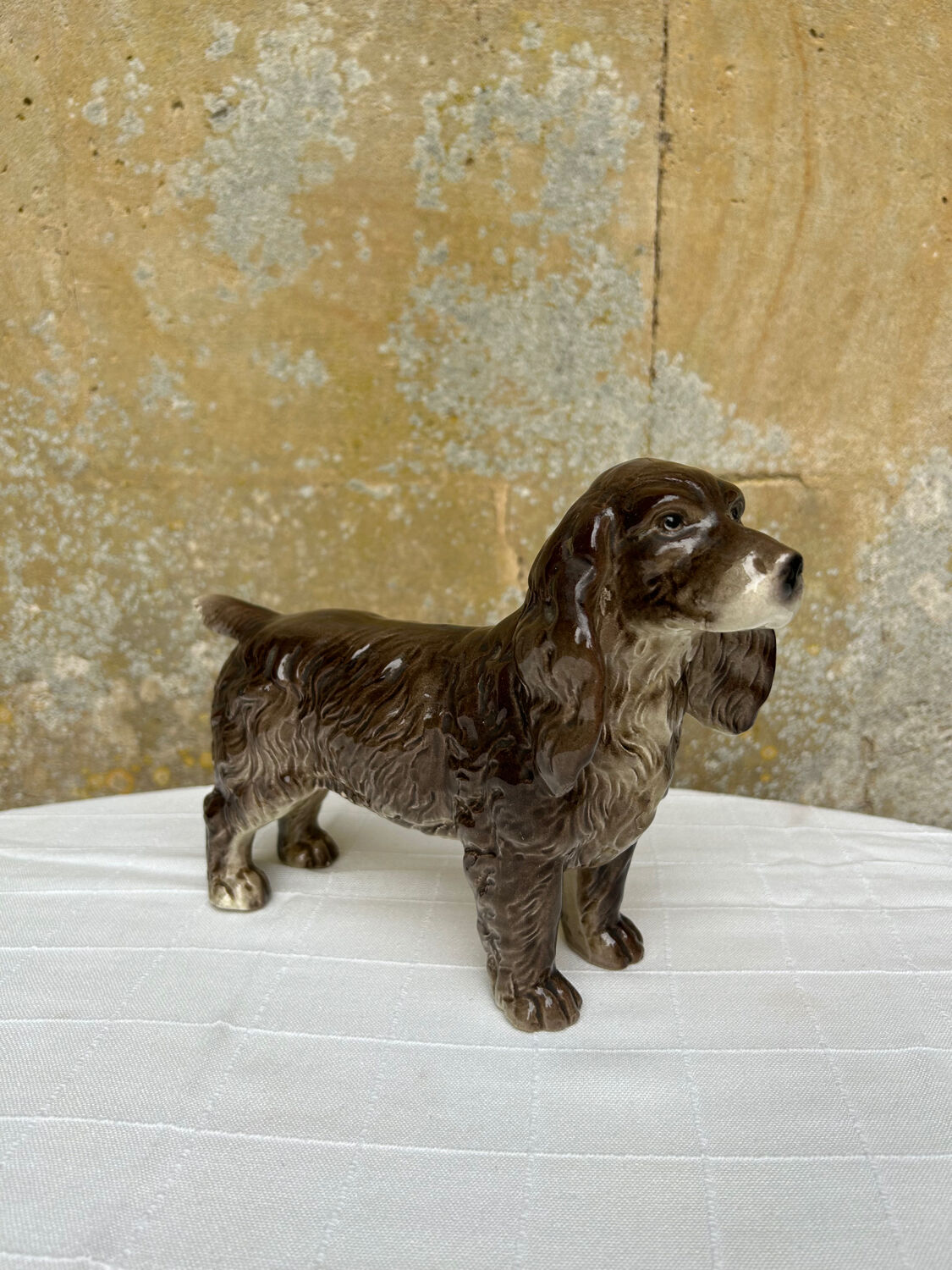 Ceramic spaniel dog