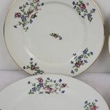 6 flat plates with cornflower decoration