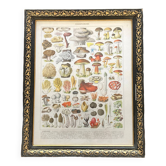 Old board Les Champignons - kitchen decoration
