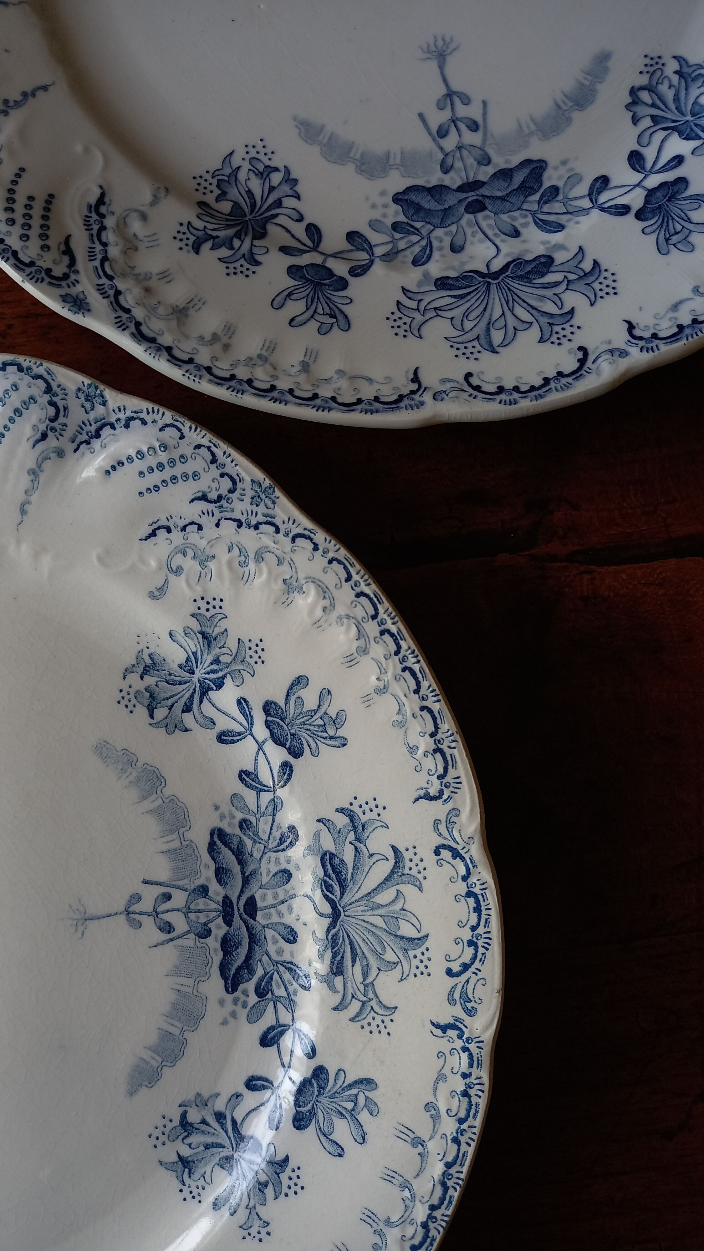 Pair of flat plates Terre de Fer "Régence" Saint-Amand & Hamage