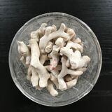 Lot of white corals