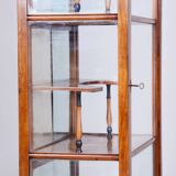 Restored Biedermeier Display Cabinet, Walnut, Polish, Spruce, Czech, 1830s