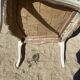 Fauteuil en bois banc et tissu fleuri
